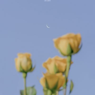 终极擂台纽约(暂未上线)v1.0.0 官方安卓版