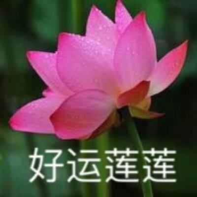 江湖在上最新版下载